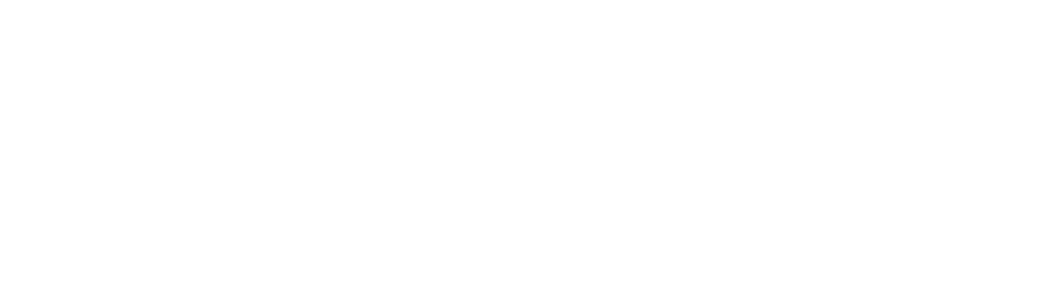 Lanier 10.0 Logo - White